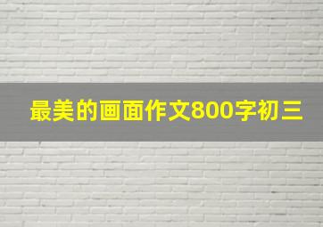 最美的画面作文800字初三