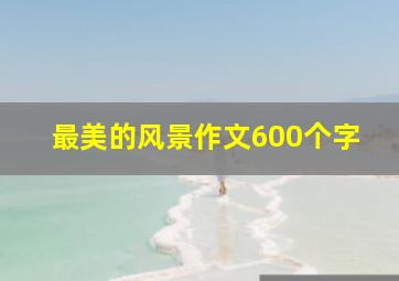 最美的风景作文600个字