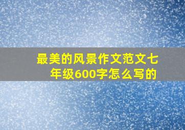 最美的风景作文范文七年级600字怎么写的