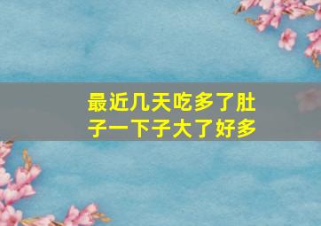 最近几天吃多了肚子一下子大了好多