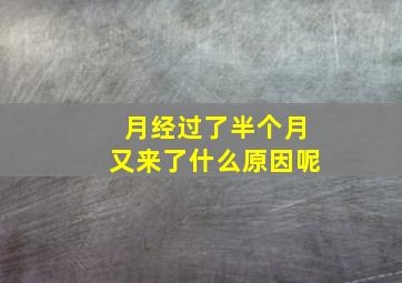 月经过了半个月又来了什么原因呢