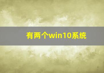 有两个win10系统