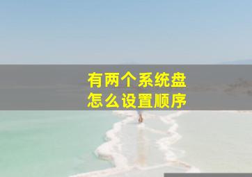 有两个系统盘怎么设置顺序