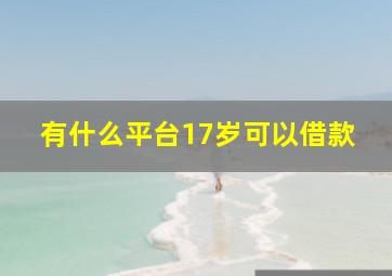 有什么平台17岁可以借款