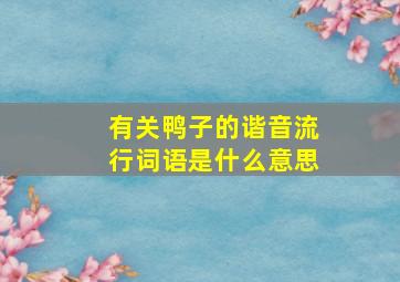 有关鸭子的谐音流行词语是什么意思