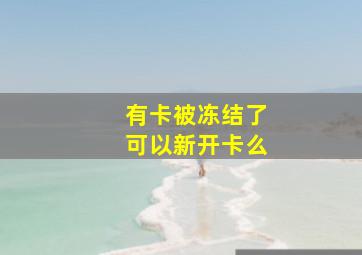 有卡被冻结了可以新开卡么