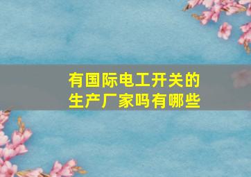 有国际电工开关的生产厂家吗有哪些