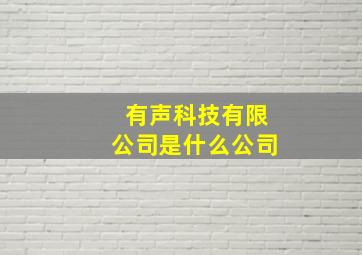 有声科技有限公司是什么公司