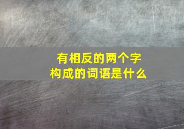 有相反的两个字构成的词语是什么