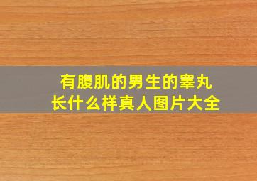 有腹肌的男生的睾丸长什么样真人图片大全