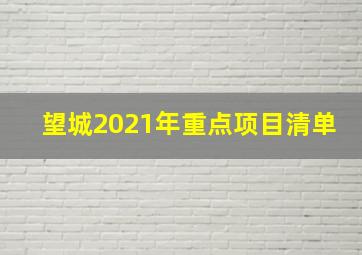 望城2021年重点项目清单