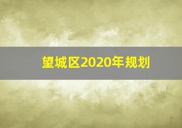 望城区2020年规划