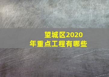 望城区2020年重点工程有哪些