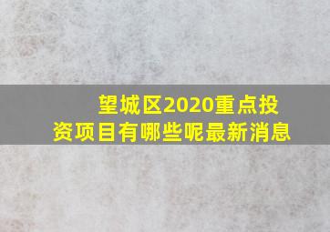 望城区2020重点投资项目有哪些呢最新消息