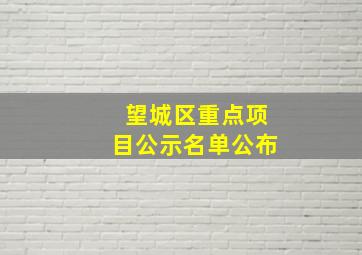 望城区重点项目公示名单公布