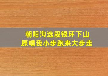 朝阳沟选段银环下山原唱我小步跑来大步走