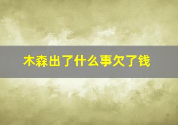 木森出了什么事欠了钱