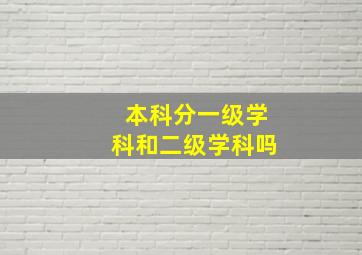 本科分一级学科和二级学科吗