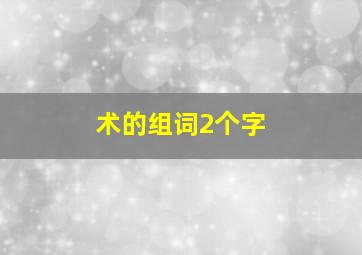 术的组词2个字