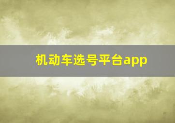 机动车选号平台app