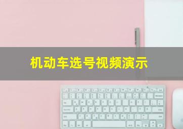 机动车选号视频演示