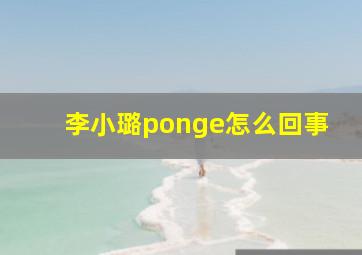 李小璐ponge怎么回事