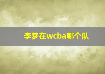 李梦在wcba哪个队