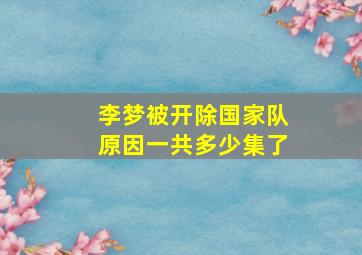 李梦被开除国家队原因一共多少集了