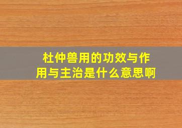 杜仲兽用的功效与作用与主治是什么意思啊