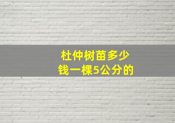 杜仲树苗多少钱一棵5公分的