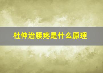 杜仲治腰疼是什么原理