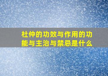 杜仲的功效与作用的功能与主治与禁忌是什么