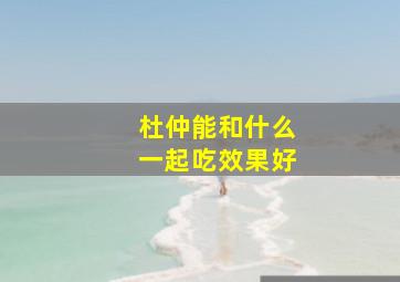 杜仲能和什么一起吃效果好