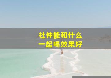 杜仲能和什么一起喝效果好