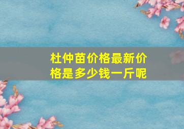 杜仲苗价格最新价格是多少钱一斤呢