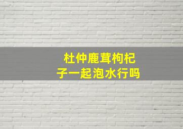 杜仲鹿茸枸杞子一起泡水行吗