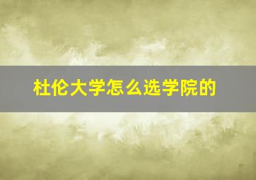 杜伦大学怎么选学院的