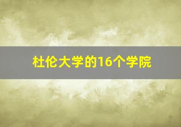 杜伦大学的16个学院