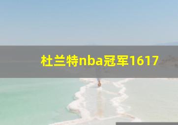 杜兰特nba冠军1617