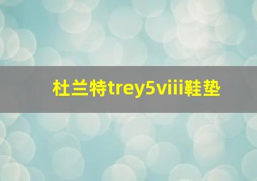 杜兰特trey5viii鞋垫