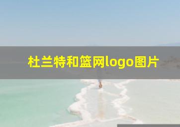 杜兰特和篮网logo图片