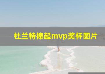 杜兰特捧起mvp奖杯图片