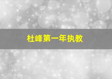 杜峰第一年执教