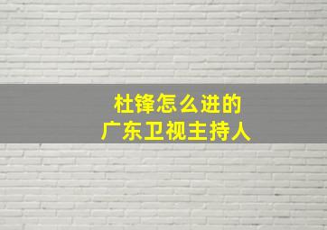 杜锋怎么进的广东卫视主持人