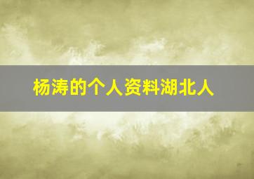 杨涛的个人资料湖北人