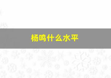 杨鸣什么水平