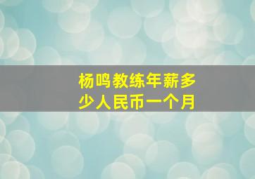 杨鸣教练年薪多少人民币一个月