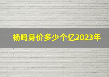 杨鸣身价多少个亿2023年