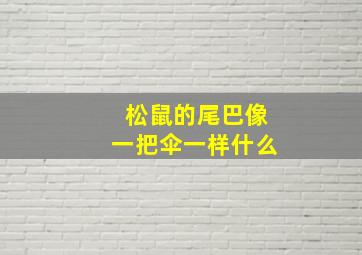 松鼠的尾巴像一把伞一样什么