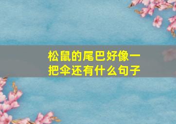 松鼠的尾巴好像一把伞还有什么句子